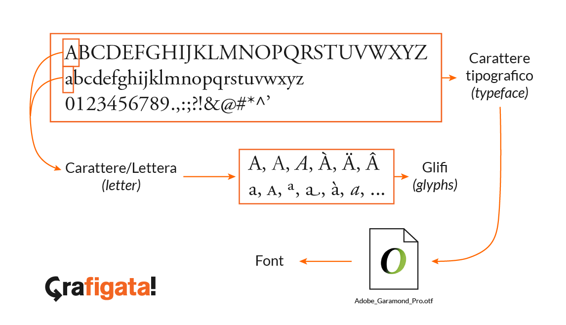 Differenza tra carattere tipografico, carattere, glifo e font.