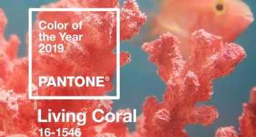 Pantone colore dell'anno living coral 2019