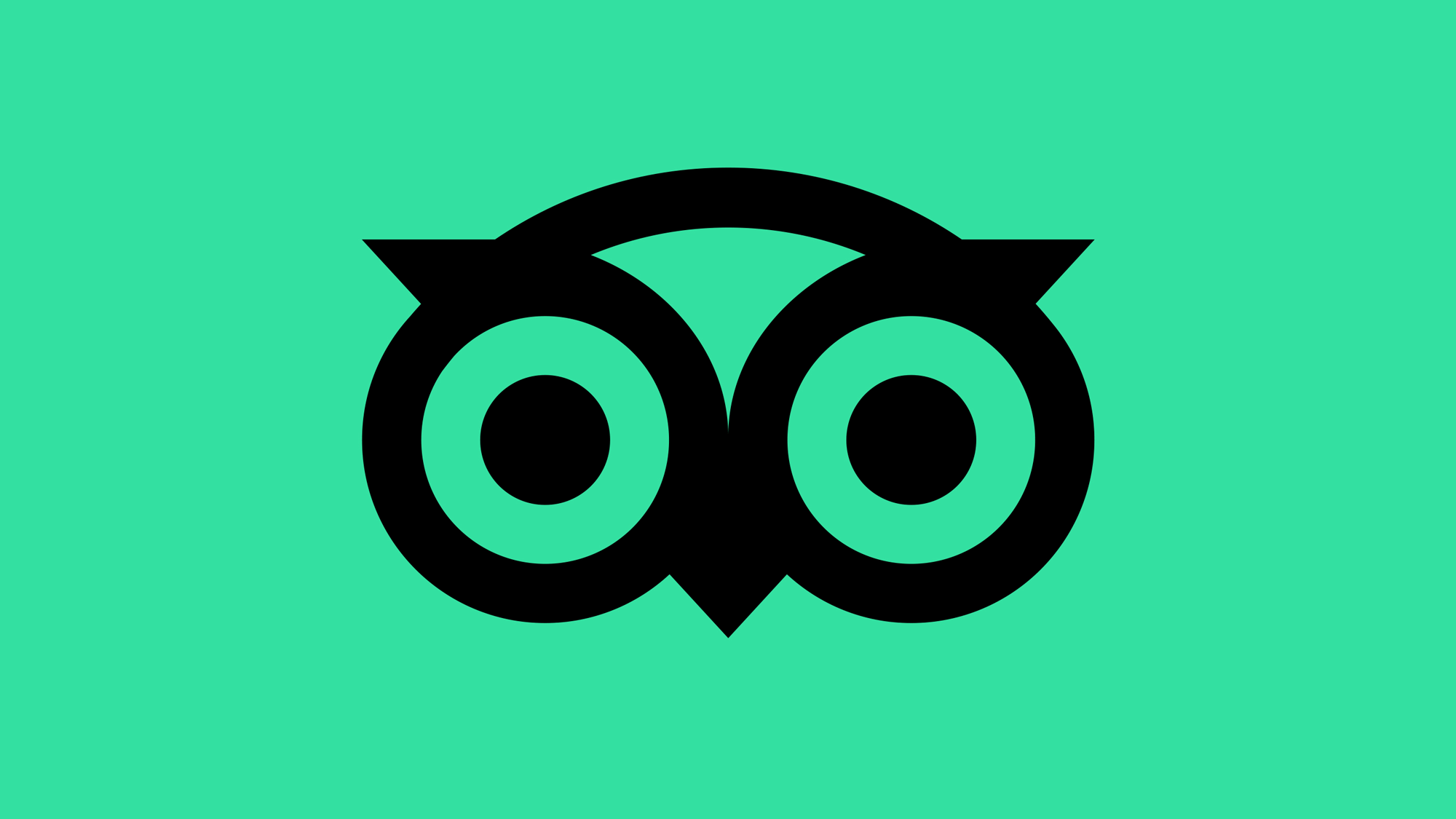 tripadvisor_logo_icon_detail